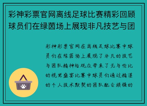 彩神彩票官网离线足球比赛精彩回顾球员们在绿茵场上展现非凡技艺与团队精神